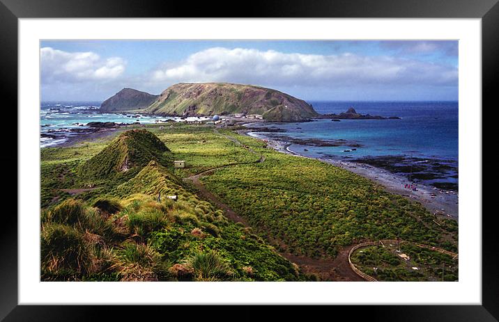 Macquarie Island and The Research Station Framed Mounted Print by Carole-Anne Fooks