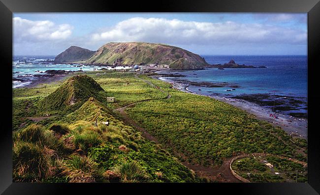 Macquarie Island and The Research Station Framed Print by Carole-Anne Fooks