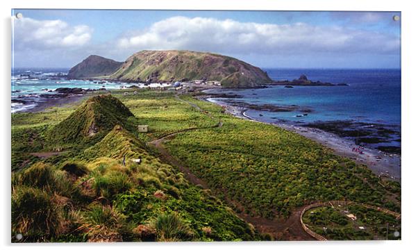 Macquarie Island and The Research Station Acrylic by Carole-Anne Fooks