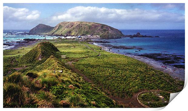 Macquarie Island and The Research Station Print by Carole-Anne Fooks