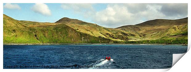 Approaching Sandy beach Macquarie Island Print by Carole-Anne Fooks