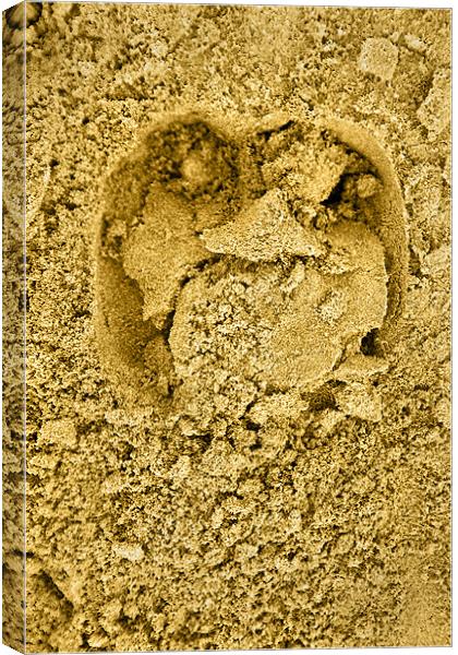Hoof print in the sand Canvas Print by Arfabita  