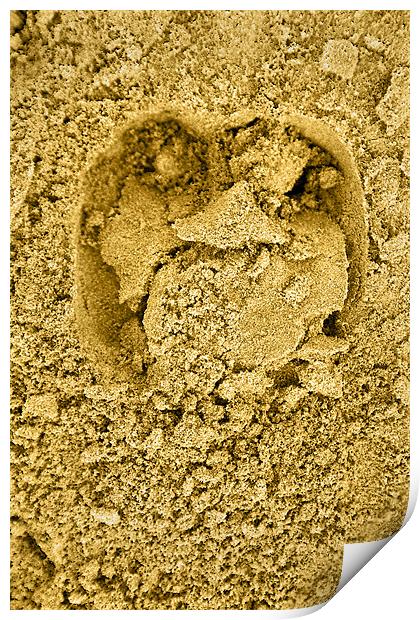 Hoof print in the sand Print by Arfabita  