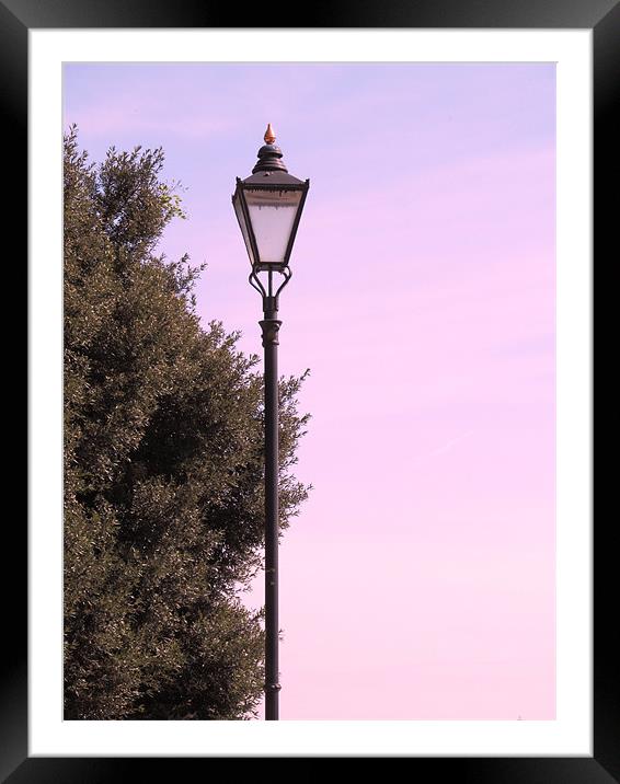 Old Lamp post Framed Mounted Print by Samantha Daniels