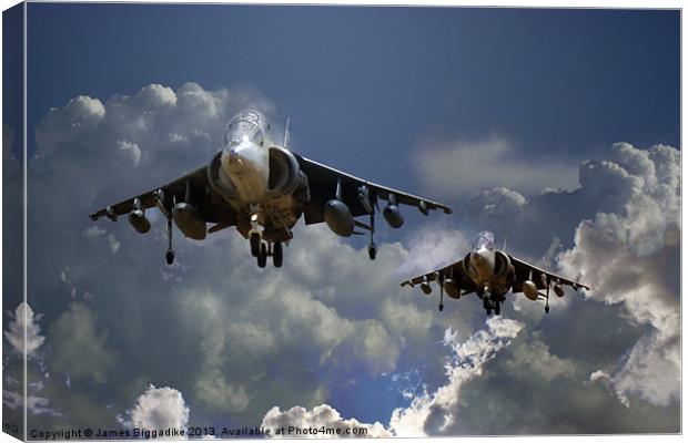 Harrier Approach Canvas Print by J Biggadike