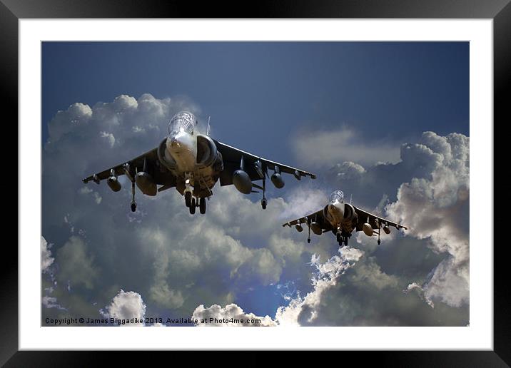 Harrier Approach Framed Mounted Print by J Biggadike