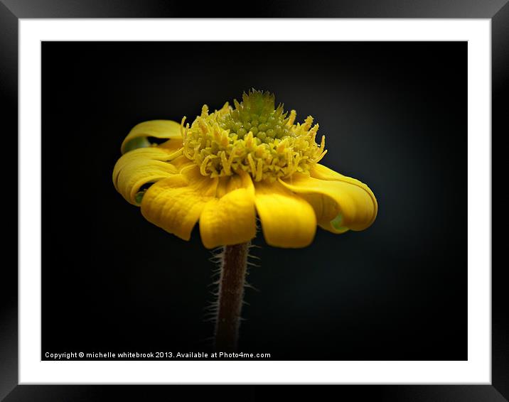 LONELY Framed Mounted Print by michelle whitebrook