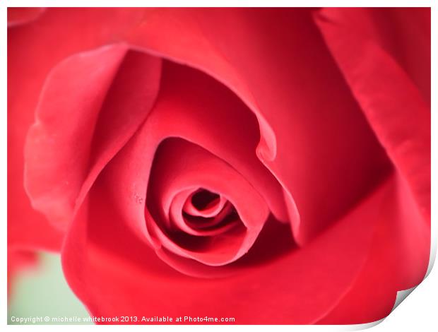 SOFT ROSE 7 Print by michelle whitebrook