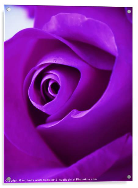 deep purple Acrylic by michelle whitebrook