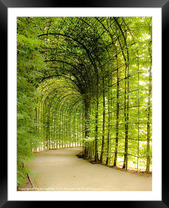 Alnwick Gardens Tunnel, Secluded Walkway Framed Mounted Print by Helen Holmes