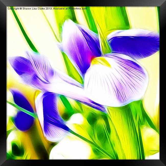 Fractalius Iris Framed Print by Sharon Lisa Clarke