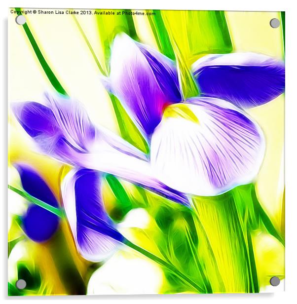 Fractalius Iris Acrylic by Sharon Lisa Clarke