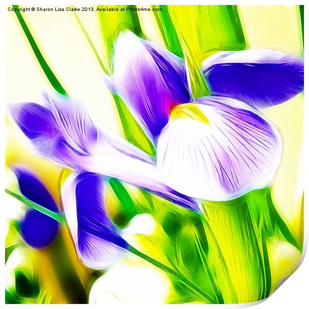 Fractalius Iris Print by Sharon Lisa Clarke