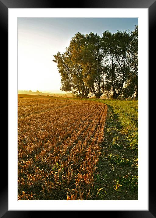 Harvest Edge Framed Mounted Print by graham young