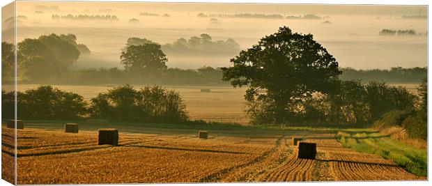 Harvest Panorama Canvas Print by graham young