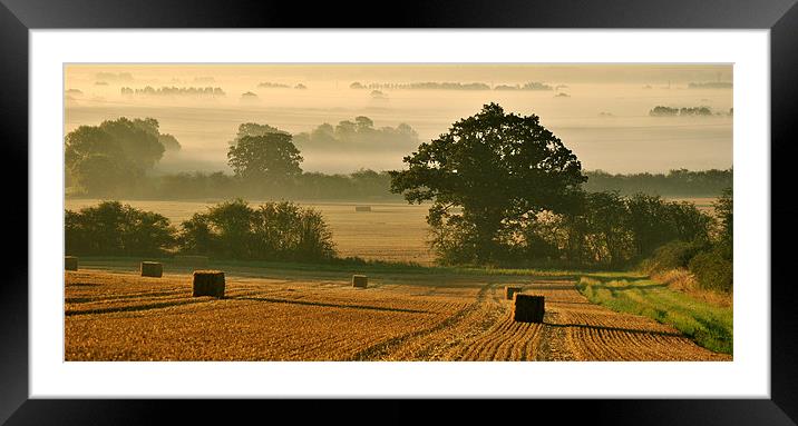 Harvest Panorama Framed Mounted Print by graham young