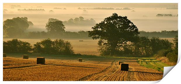Harvest Panorama Print by graham young