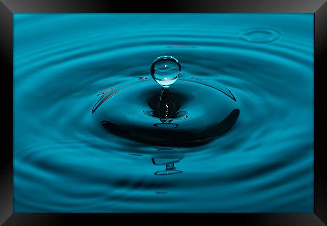 Water Drop Framed Print by Paul Shears Photogr