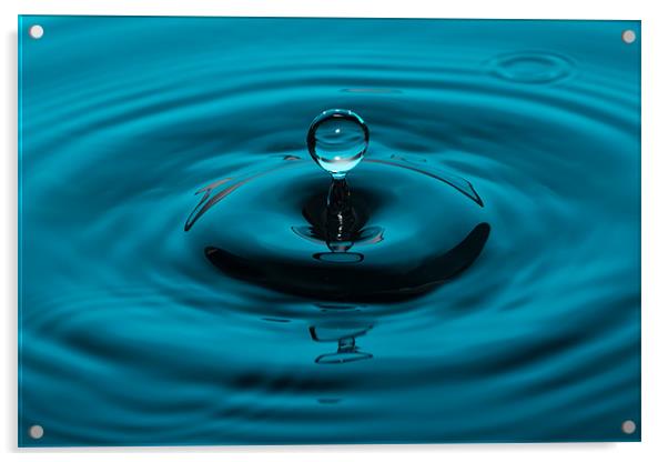 Water Drop Acrylic by Paul Shears Photogr