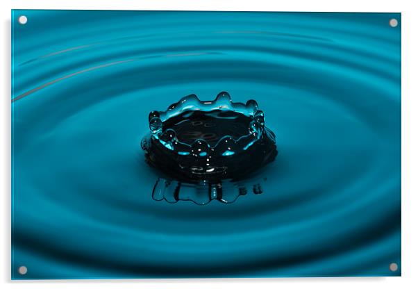 Water Crown Acrylic by Paul Shears Photogr