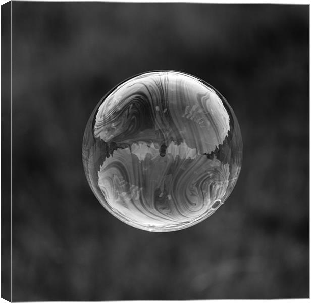Bubble Reflection Canvas Print by Paul Shears Photogr