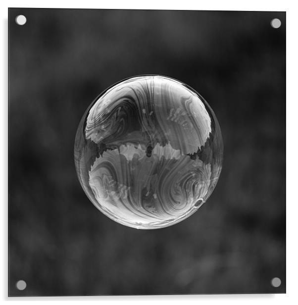 Bubble Reflection Acrylic by Paul Shears Photogr