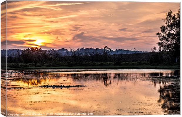 New Forest Pond Canvas Print by Phil Wareham