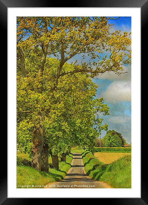 Sweetbriar Lane, Edgefield Framed Mounted Print by Julie Coe