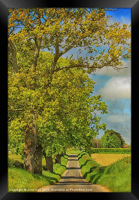 Sweetbriar Lane, Edgefield Framed Print by Julie Coe