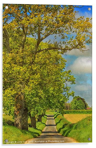 Sweetbriar Lane, Edgefield Acrylic by Julie Coe