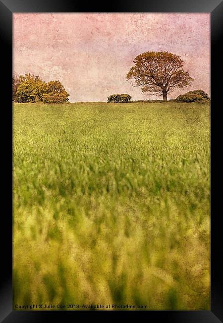 A Norfolk Field Framed Print by Julie Coe