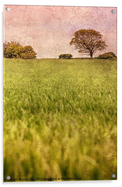 A Norfolk Field Acrylic by Julie Coe