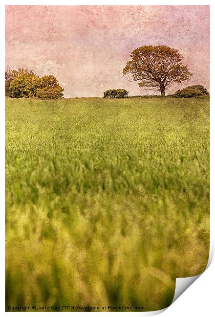 A Norfolk Field Print by Julie Coe
