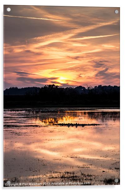 Long Sunset Acrylic by Phil Wareham