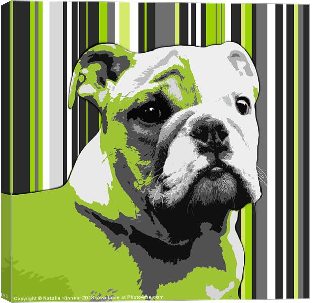 English Bulldog Puppy Abstract Canvas Print by Natalie Kinnear