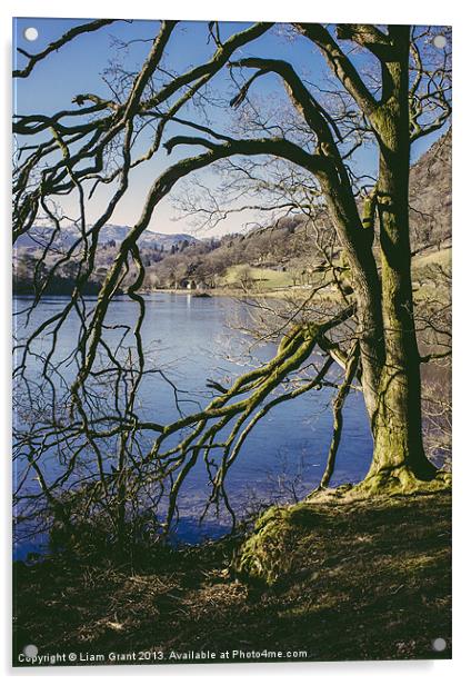 Partly frozen lake. Rydal Water, Lake District, Cu Acrylic by Liam Grant