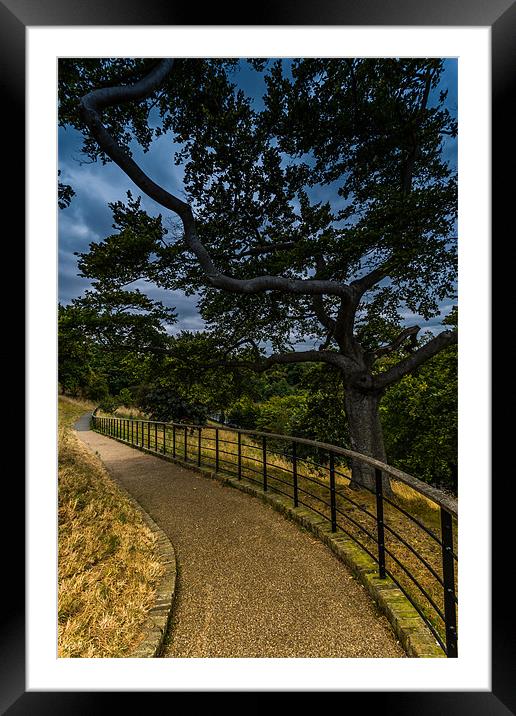 A Winding Path Framed Mounted Print by Paul Shears Photogr