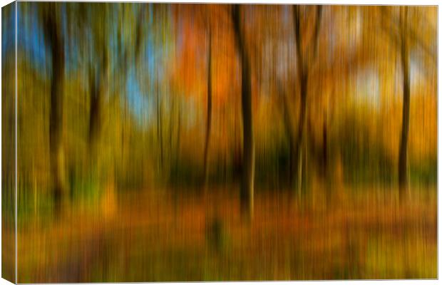Autumn Abstract Canvas Print by Paul Shears Photogr