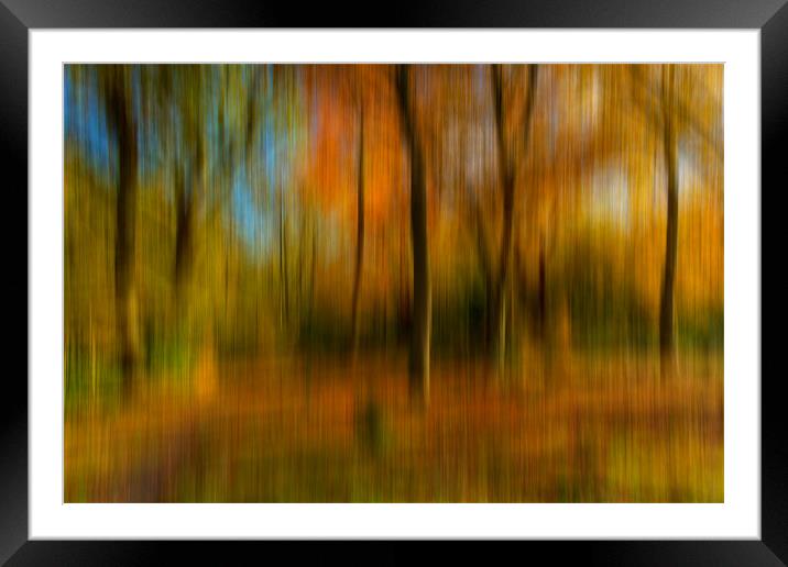 Autumn Abstract Framed Mounted Print by Paul Shears Photogr