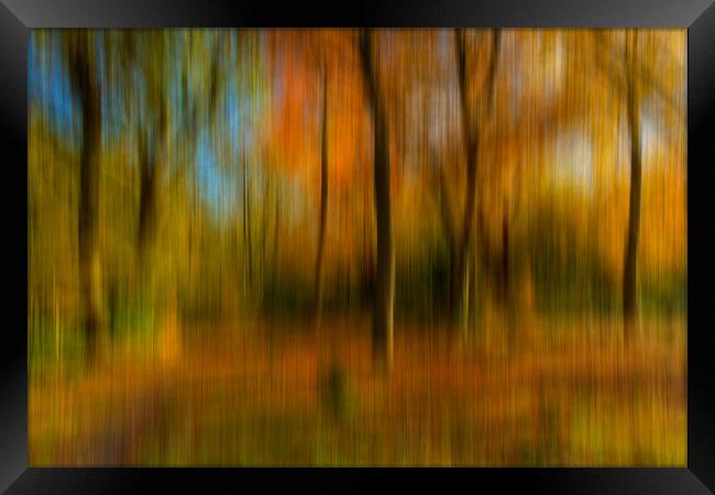 Autumn Abstract Framed Print by Paul Shears Photogr