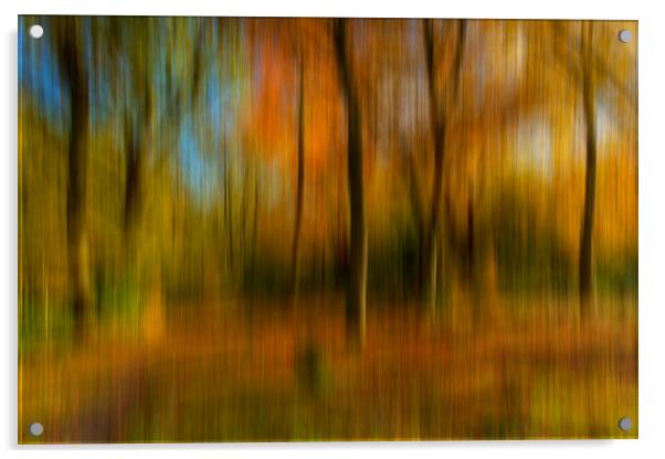 Autumn Abstract Acrylic by Paul Shears Photogr
