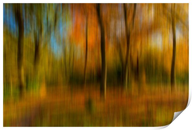 Autumn Abstract Print by Paul Shears Photogr