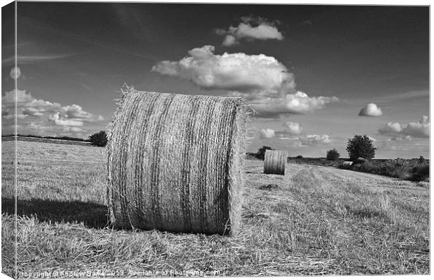 Round straw bales Canvas Print by A B