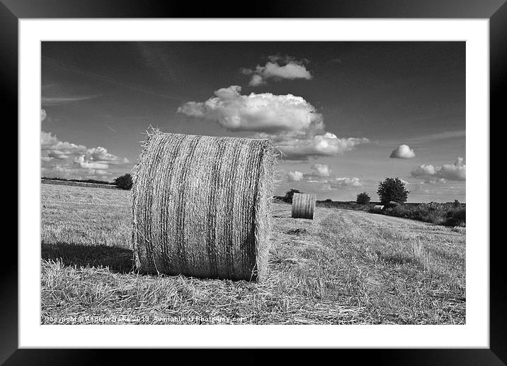 Round straw bales Framed Mounted Print by A B