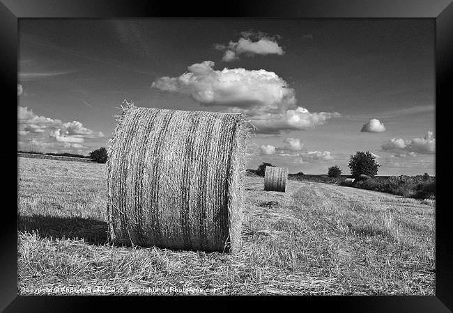 Round straw bales Framed Print by A B