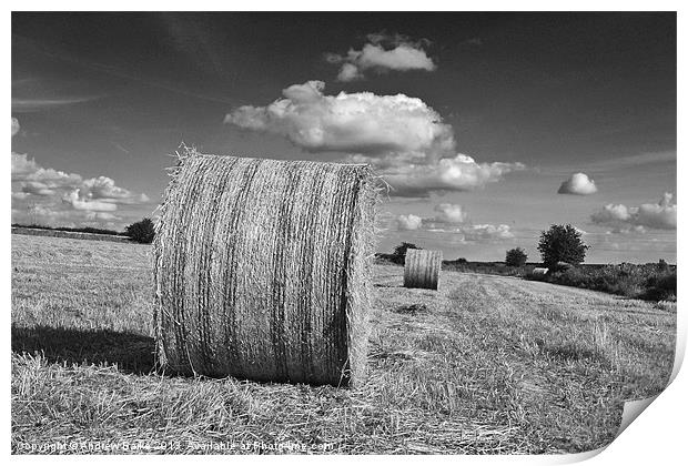 Round straw bales Print by A B