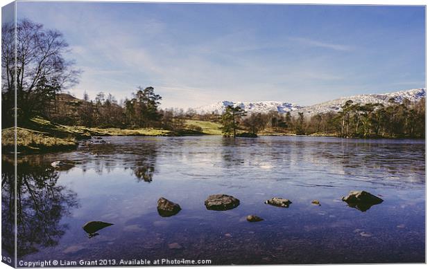 Frozen surface. Tarn Hows, Lake District, Cumbria, Canvas Print by Liam Grant