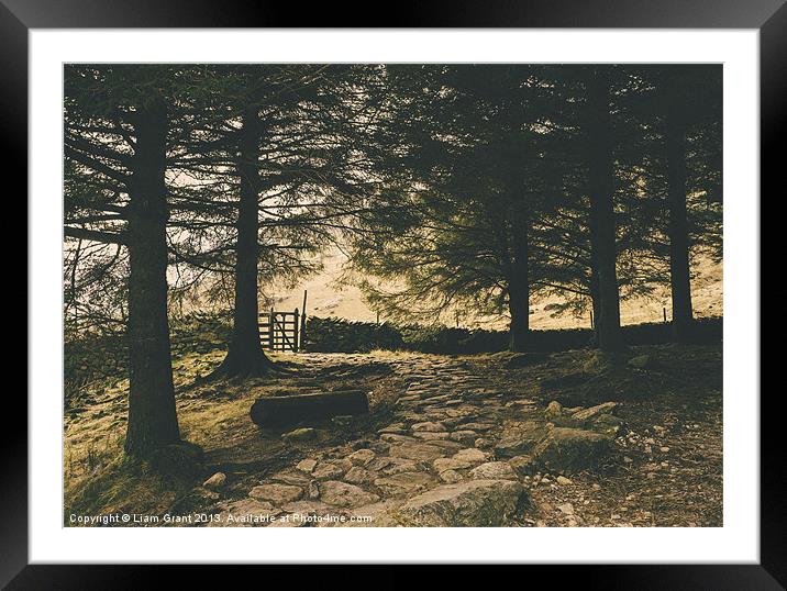 Stone path. Blea Tarn, Lake District, Cumbria, UK. Framed Mounted Print by Liam Grant