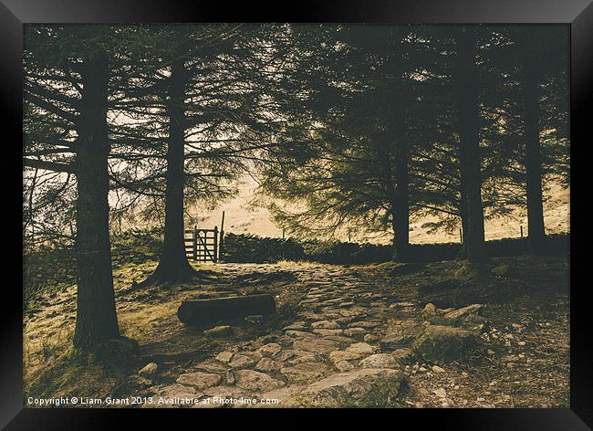 Stone path. Blea Tarn, Lake District, Cumbria, UK. Framed Print by Liam Grant