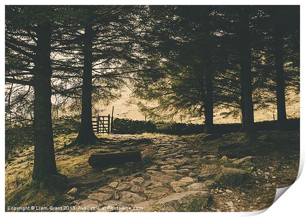 Stone path. Blea Tarn, Lake District, Cumbria, UK. Print by Liam Grant